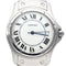Montre Cartier Montre Santos Ronde 33Mm Automatique 58 Facettes MT41463