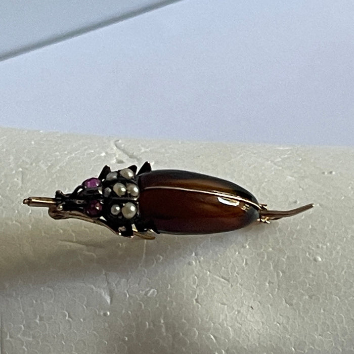Art Nouveau scarabee broche