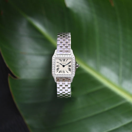 Cartier Santos Demoiselle 58 Facettes