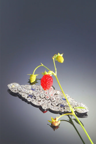 Broche Chef-d'œuvre de la joaillerie des années 1930 : la broche Art déco en platine 58 Facettes 22130-0047