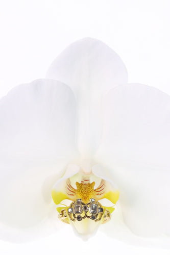 Bague 55 Artisanat du XVIIe siècle : bague baroque en or avec diamants taille table 58 Facettes 23331-0247