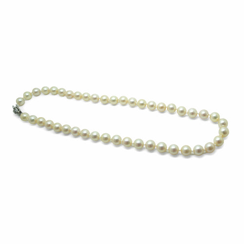 Collier Collier Choker, perles d'Akoya 8.2 mm 58 Facettes