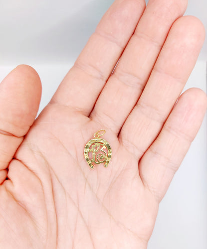 Pendentif Pendentif fer à cheval et numéro 13, chance 58 Facettes A05905