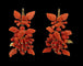 Boucles d'oreilles Boucles d'oreilles antiques en or et corail 58 Facettes 7650