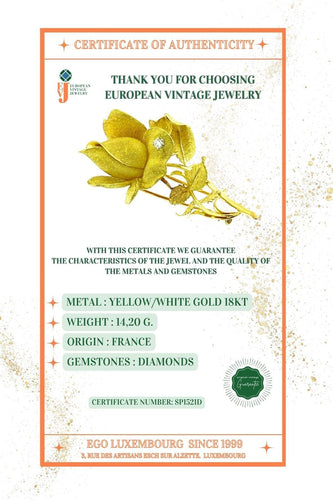 Broche Broche en forme de rose en or jaune et blanc avec diamants 58 Facettes