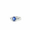Bague 48 Bague Platine - Tanzanite et Diamants 58 Facettes 1.0002225/1