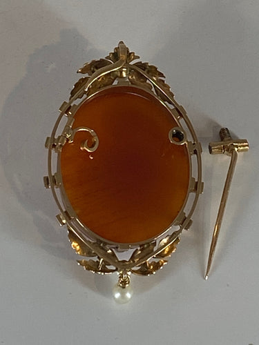Pendentif Broche/pendentif camée en agate, perles fines 58 Facettes AB40