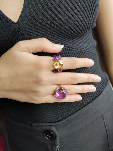 Bague 54 Bague Papillon citrine, améthystes, diamants 58 Facettes 469