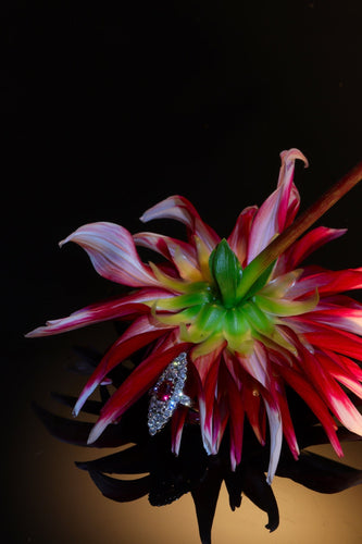 Bague 53 Rouge romantique : l'attrait intemporel d'une bague en rubis victorienne 58 Facettes 22298-0136