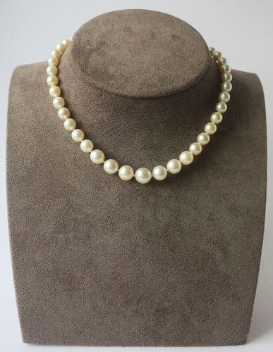 Collier Collier de grosses perles de culture Akoya Fermoir or blanc et Diamants 58 Facettes