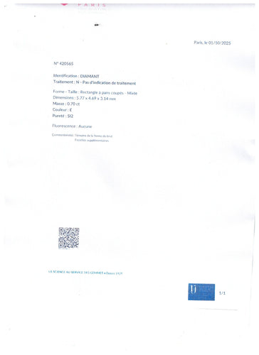 Bague 51-52 Solitaire Or Gris 18k – Diamant Central 0,70 Ct E-SI2 (Certificat LFG) – Entourage 0,50 Ct G-VS – Taille 51/52 58 Facettes FB11028