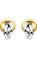 Boucles d'oreilles Boucles d’oreilles puces bicolores or 18 carats 58 Facettes