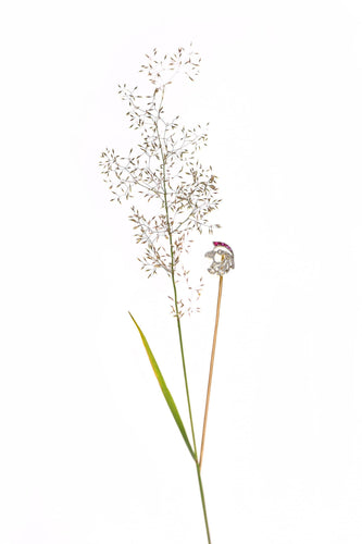 Majestæt Art Deco: falkehovednålen 