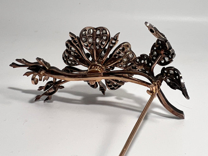 Broche Broche trembleuse XIXe, dans son écrin Ouizille Lemoine Fils 58 Facettes 234