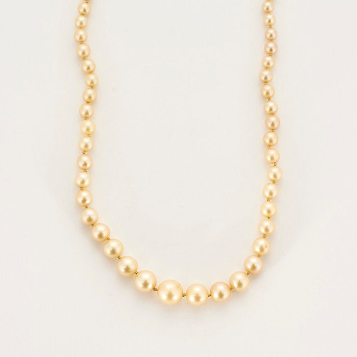 White gold cultured pearl necklace