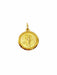 Pendentif Médaille du zodiac vierge or jaune 58 Facettes