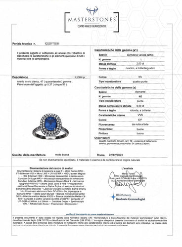 Bague Bague en or blanc avec saphir de Ceylan de 2 carats et diamants 58 Facettes 14298