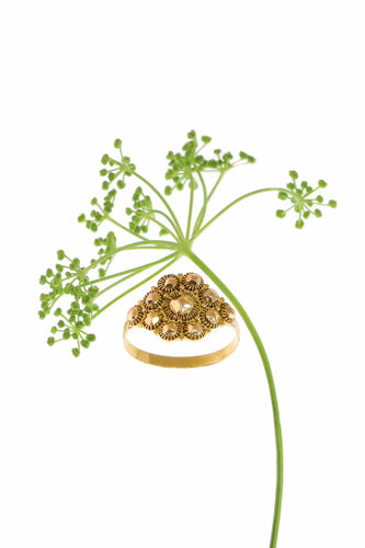 Elegancia eterna: el anillo de oro histórico de Holland 