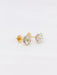 Boucles d'oreilles Boucles d'oreilles puces diamants taille ancienne 3.37 ct 58 Facettes 391.5