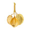Pendentif Pendentif Feuille Or jaune 58 Facettes 3042287CN