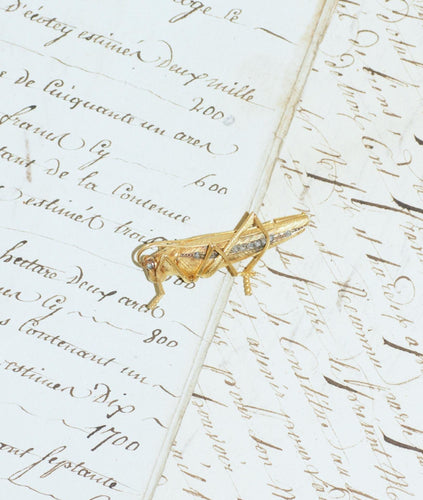 Broche Broche ancienne Criquet or jaune et diamants 58 Facettes