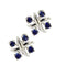 Boucles d'oreilles Tiffany & Co. - Boucles d'oreilles en platine serties de saphirs 58 Facettes 38212