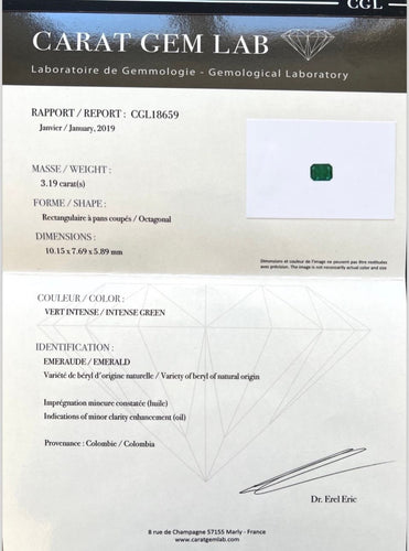 Pierres Émeraude de Colombie certifiée LFG de 3,19 carats 58 Facettes