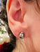 Boucles d'oreille or blanc serties de 2 perles de culture grises et 2 diamants 58 Facettes 2924 A