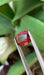 Gemstone Spinelle rouge 3.18cts non chauffé de Birmanie 58 Facettes 513