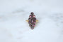 Bague 55 Bague Marquise Ancienne en Or Rose et Grenats sur Paillon 58 Facettes