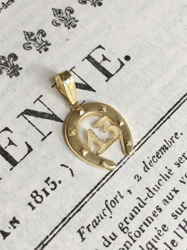 Pendentif Pendentif fer à cheval en or jaune 58 Facettes