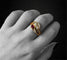 Bague Anello di Design Serpente, Rubino e Diamanti 58 Facettes