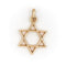 Pendentif Pendentif Etoile de David Or jaune 58 Facettes 1783195CN