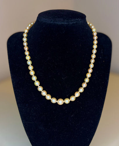 Collier Collier 51 perles de culture des mers du sud fermoir en argent 58 Facettes