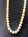 Collier Collier 61 Perles de Culture Fermoir Or 58 Facettes