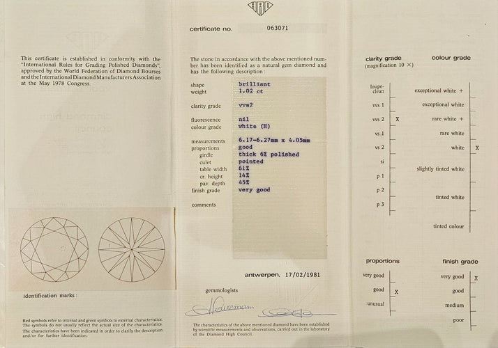 Gemstone Diamant non serti 1,02 carats H VVS2 58 Facettes 063071		1.02