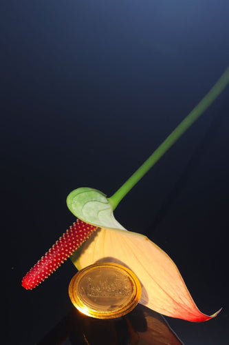 Bague 56 Classicisme satirique d'une bague en or du XVIIIe siècle : Le Triomphe de Priape 58 Facettes 19087-0061