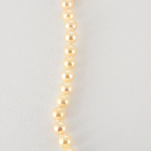 Collier Collier perles Choker, fermoir or jaune 58 Facettes 2274266