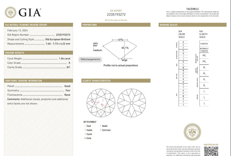 Bague 53 Solitaire - Platine et diamants 58 Facettes 1039