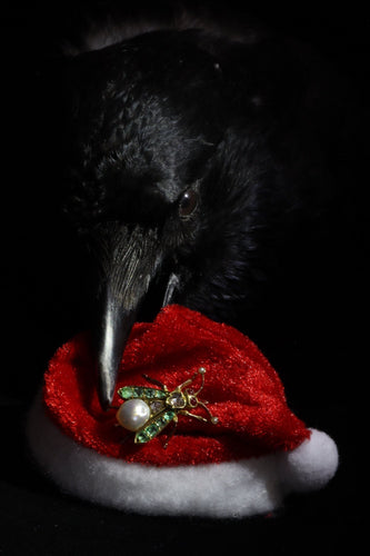 Broche Broche mouche vintage enchanteresse des années 1870 : l'élégance victorienne en or 58 Facettes 24137-0100