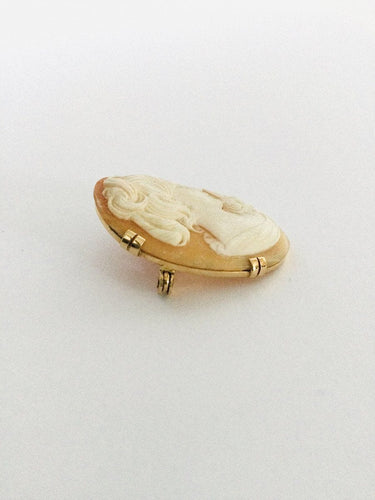 Broche Broche Camée Coquillage Or 58 Facettes