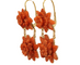 Boucles d'oreilles Boucles d'oreilles antiques en or jaune corail 58 Facettes 7692