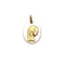 Médaille de la Vierge Marie nacre et or jaune