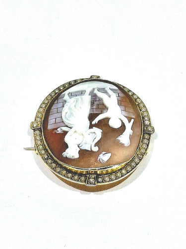 Broche Broche Camée Coquillage Et Perles 58 Facettes 984985