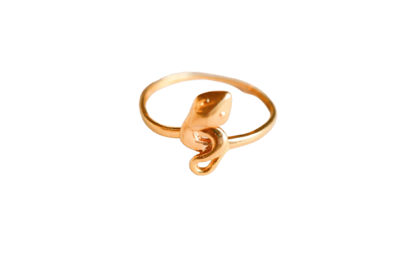 Bague 52 Bague serpent en Or jaune 58 Facettes 3710