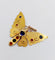 Pendentif Pendentif or rose papillon, pierres de couleur et perles 58 Facettes A05324