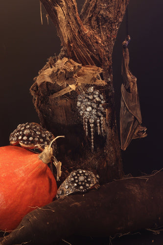 Broche Splendeur florale antique : broche de corsage Trembleuse avec diamants, 1860 58 Facettes 21028-0240