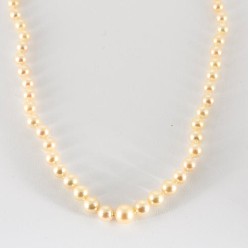 Collier Collier perles Choker, fermoir or jaune 58 Facettes 2274266