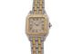 Montre vintage montre CARTIER panthere 110000r or 18k 2 rangs acier quartz 58 Facettes 268500