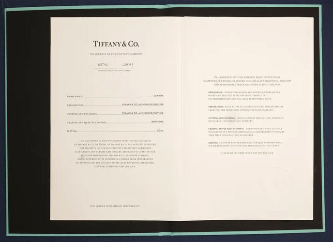 Collier Collier solitaire en or rose Tiffany & Co. 58 Facettes